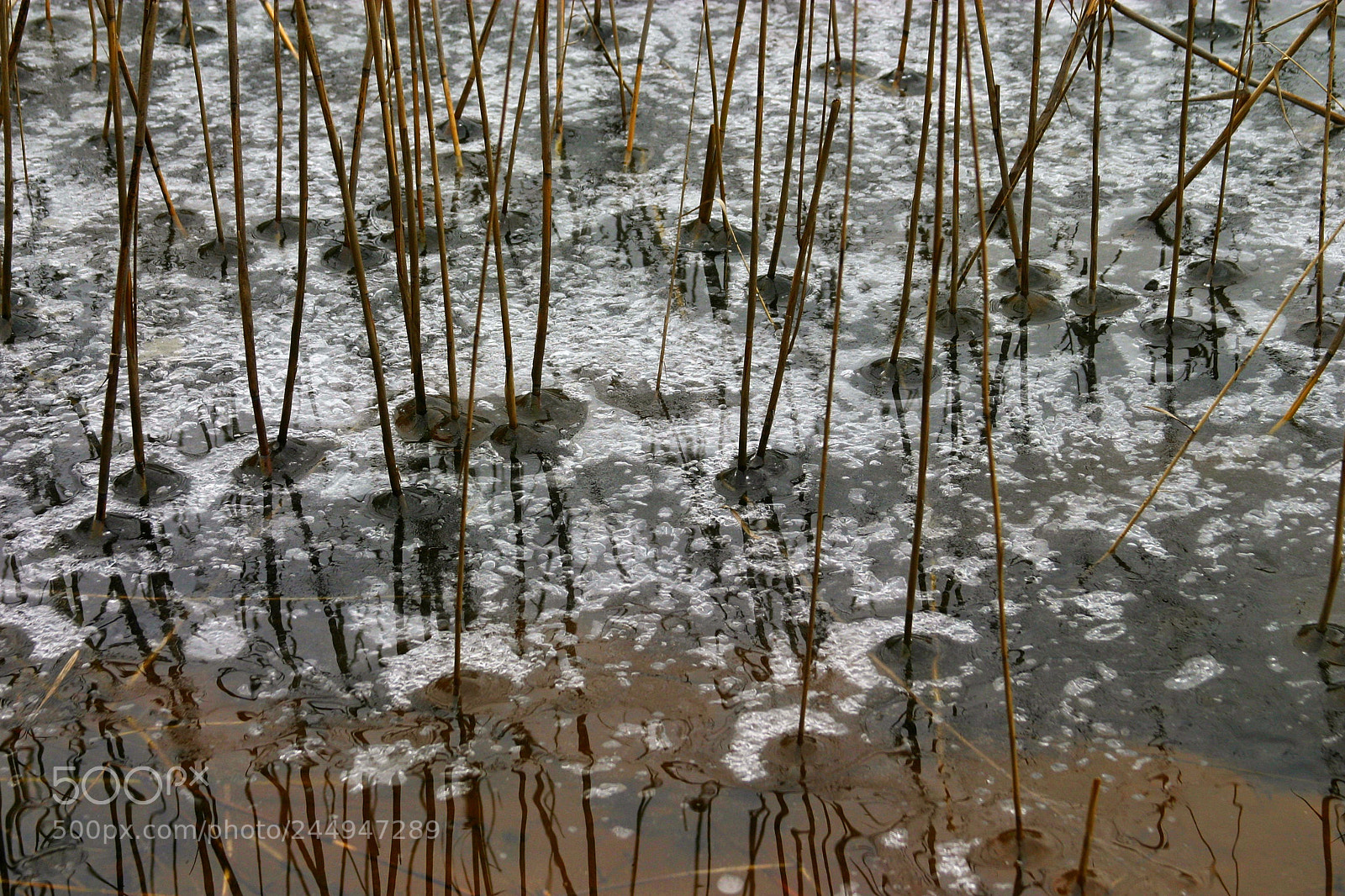 Canon EOS 10D sample photo. Reflection photography