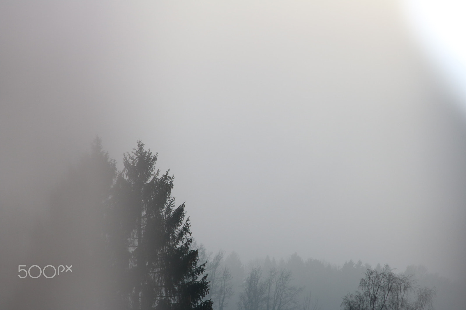 Canon EOS 750D (EOS Rebel T6i / EOS Kiss X8i) sample photo. Img photography