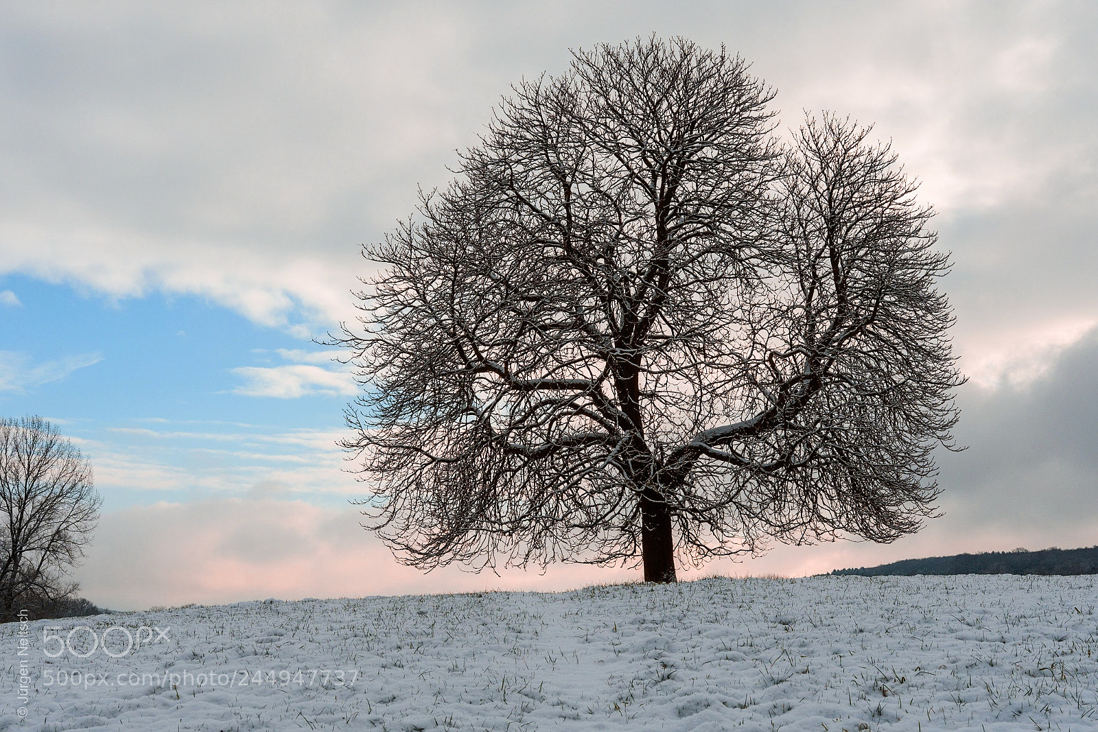 Nikon D500 sample photo. Ein wintermorgen im teuto photography