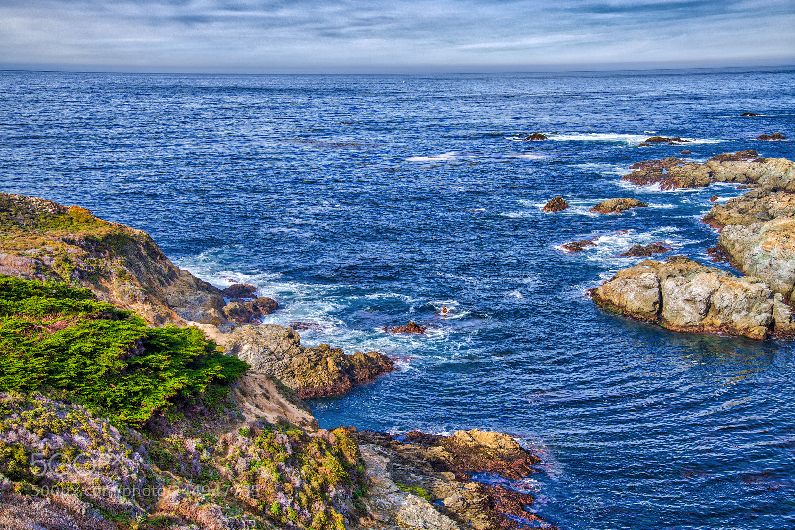 Nikon D850 sample photo. Point lobos state park photography