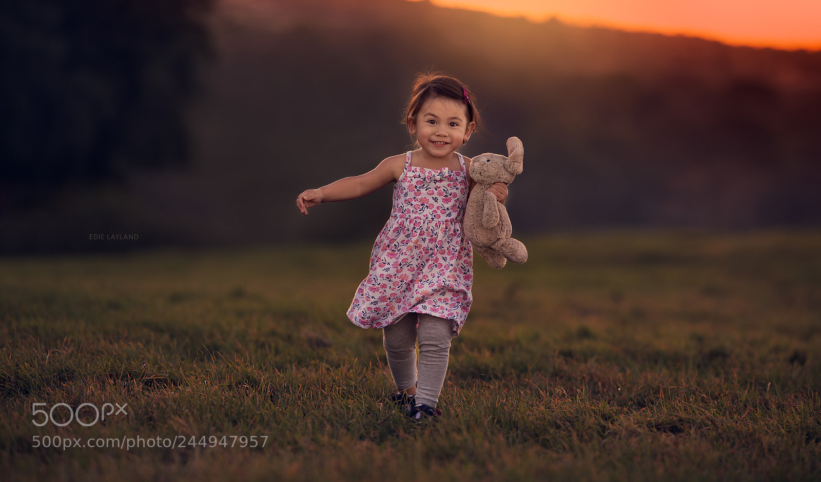 Nikon D850 sample photo. Run, run, run! photography
