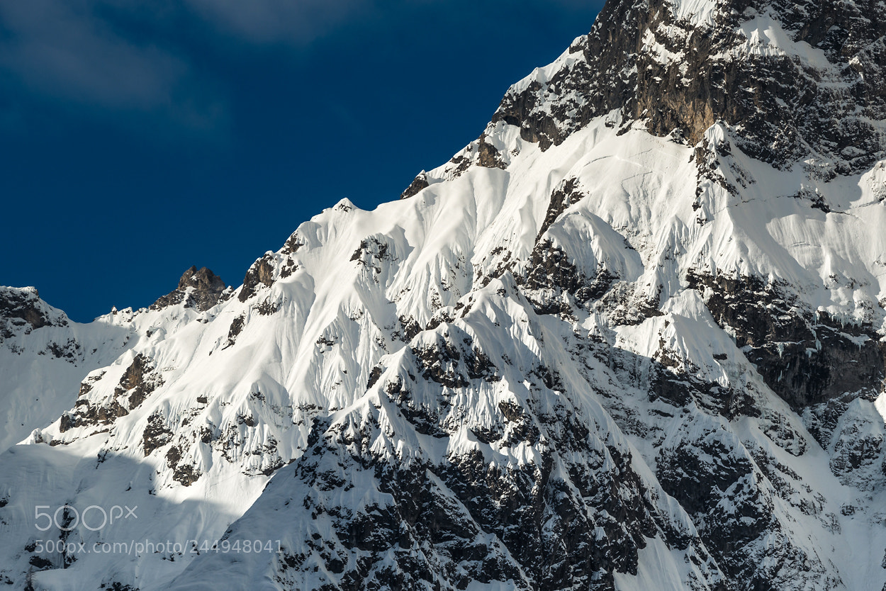 Nikon D800 sample photo. [ watzmann detail ii ] photography