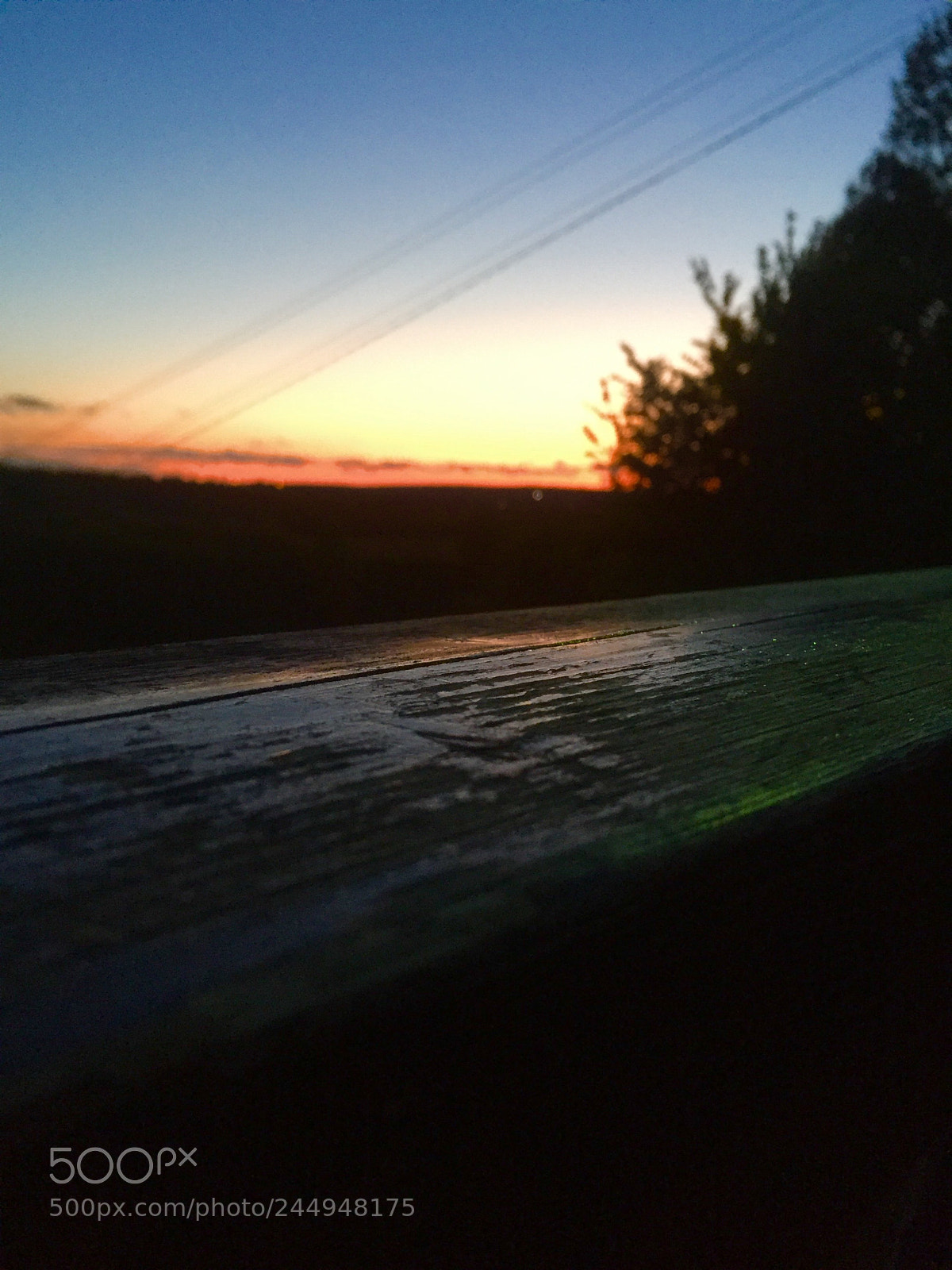 Apple iPhone 6 sample photo. Untitled photography