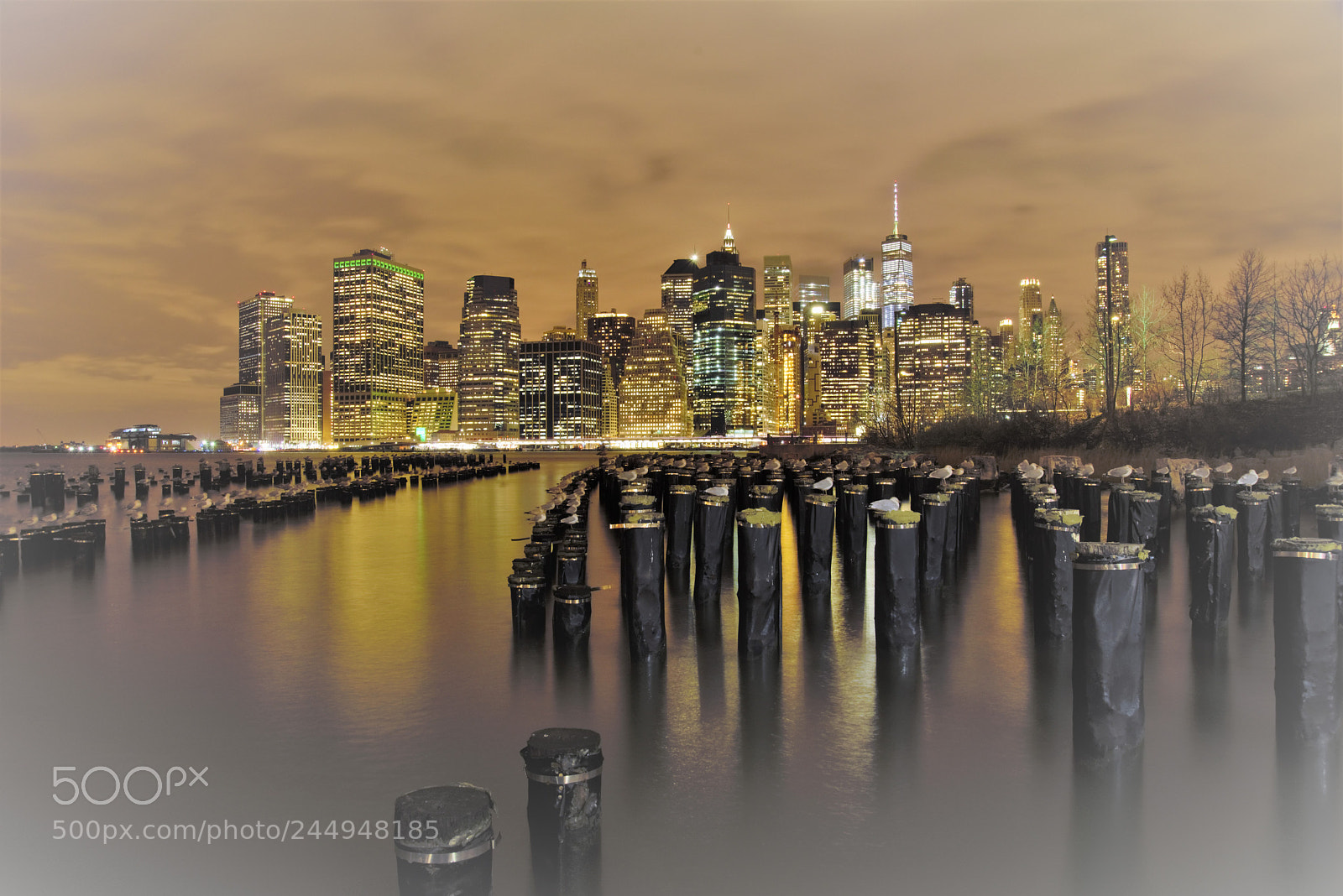 Nikon D600 sample photo. Night photography