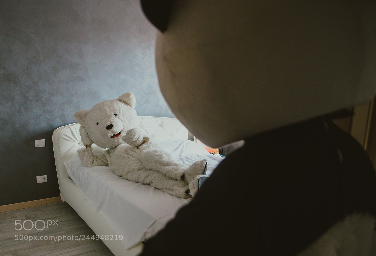 Nikon D610 sample photo. Men with animal costumes photography