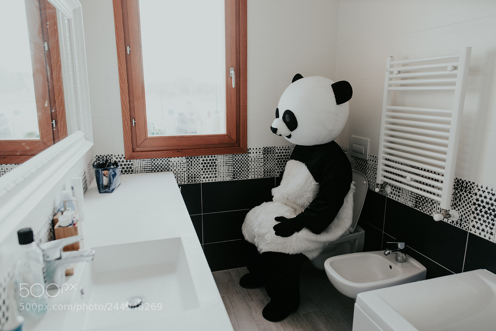 Nikon D610 sample photo. Men with animal costumes photography