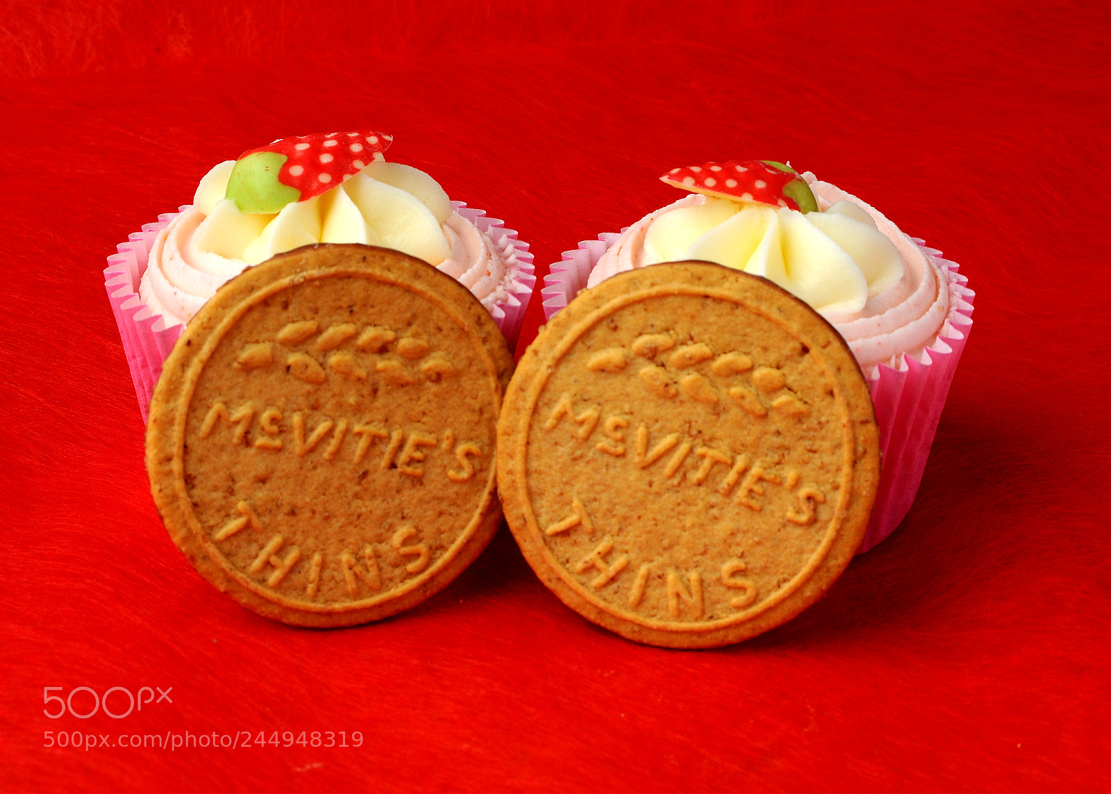 Nikon D90 sample photo. Ashley's cupcake capture two photography