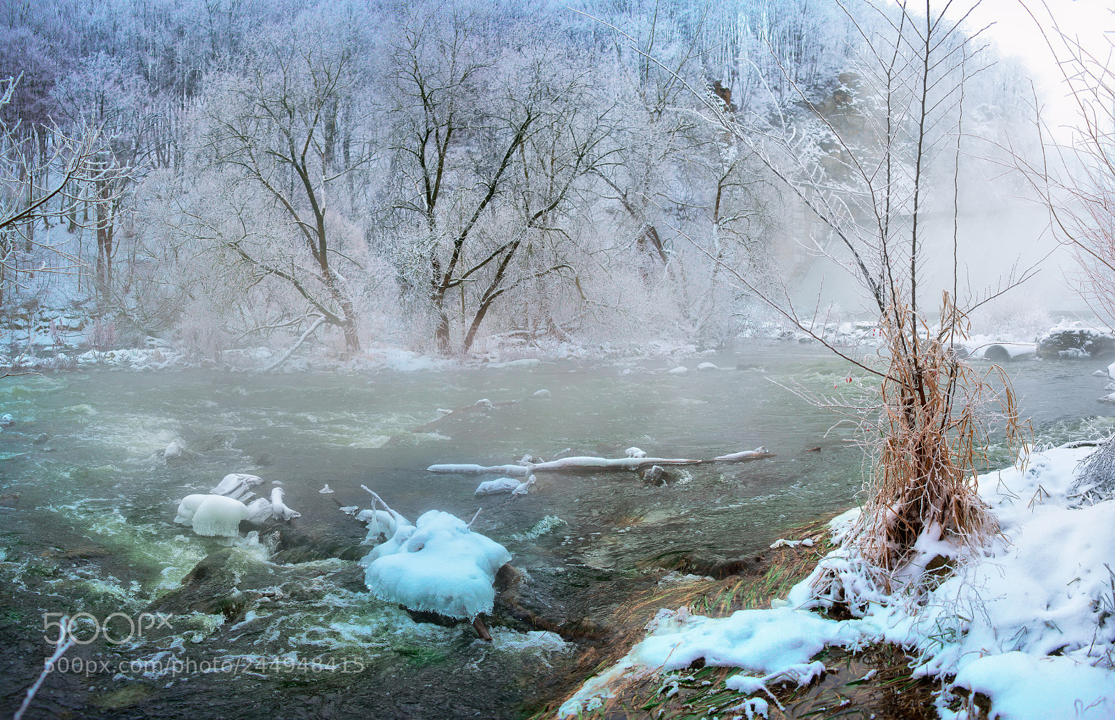 Nikon D800E sample photo. Winter fog photography