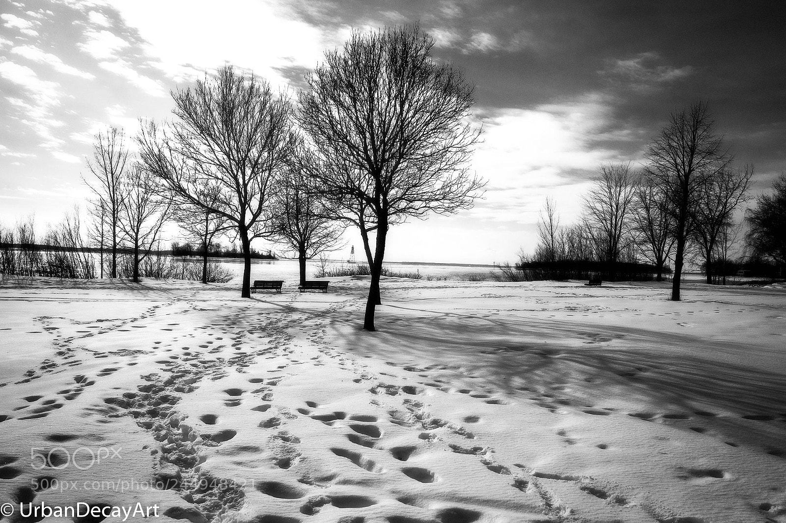 Nikon Df sample photo. Winter park photography