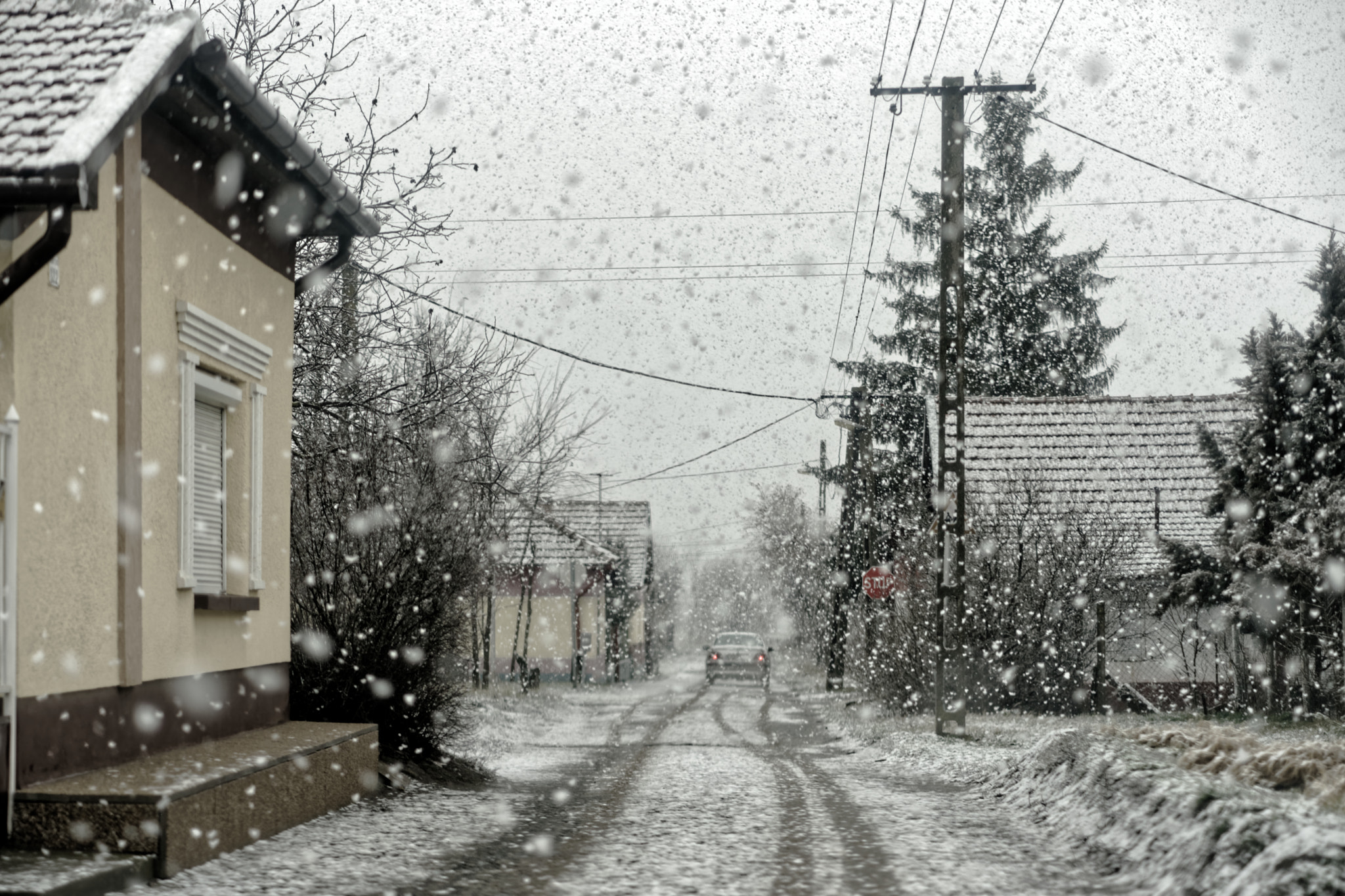 ZEISS Batis 85mm F1.8 sample photo. Snowfall photography