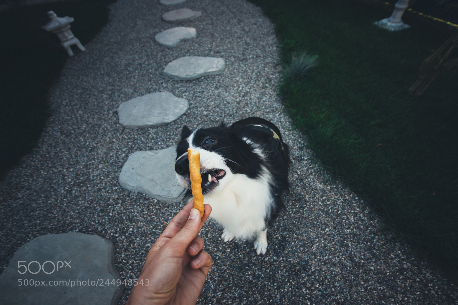 Nikon D610 sample photo. Pov moment with border photography