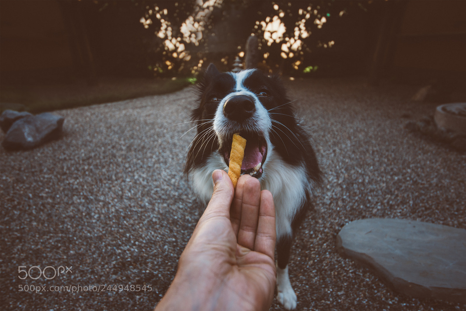 Nikon D610 sample photo. Pov moment with border photography
