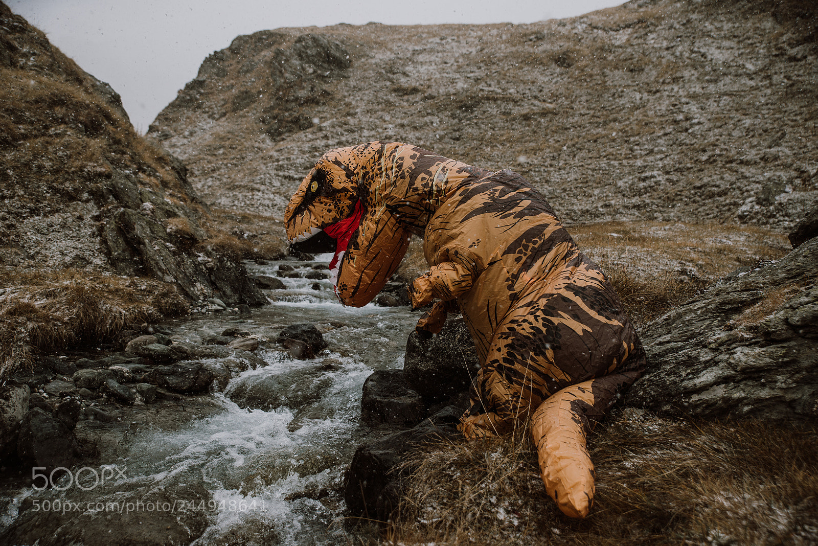 Nikon D610 sample photo. Man with dinosaur costume photography