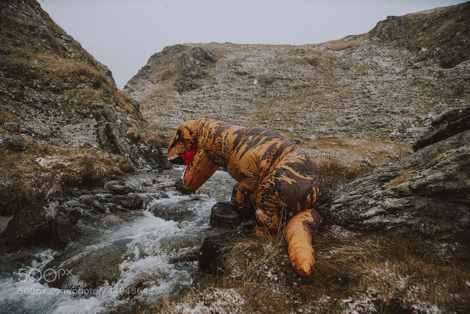 Nikon D610 sample photo. Man with dinosaur costume photography