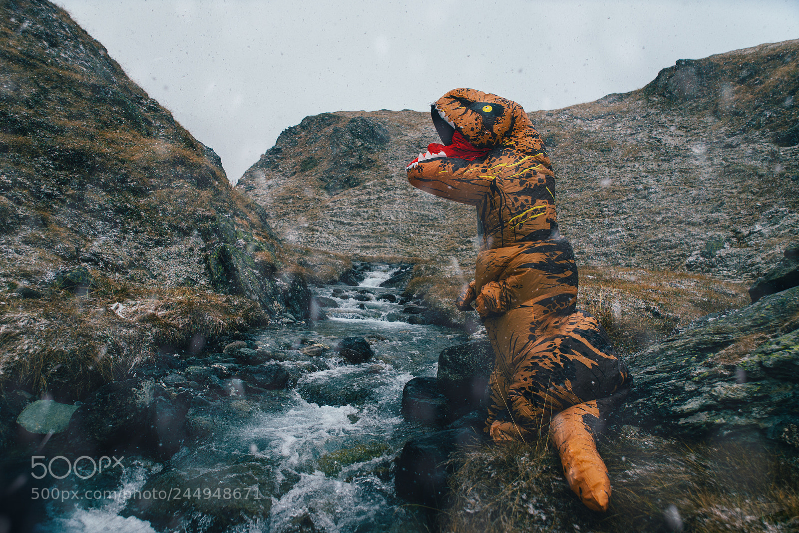Nikon D610 sample photo. Man with dinosaur costume photography