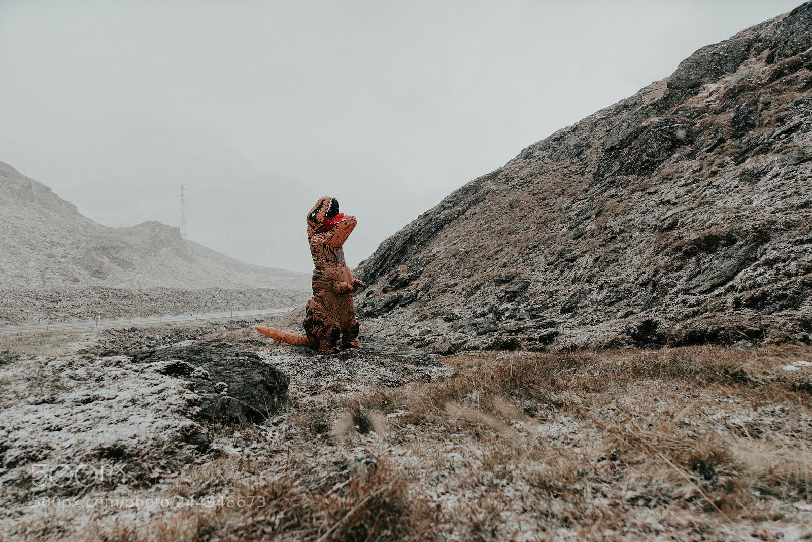 Nikon D610 sample photo. Man with dinosaur costume photography
