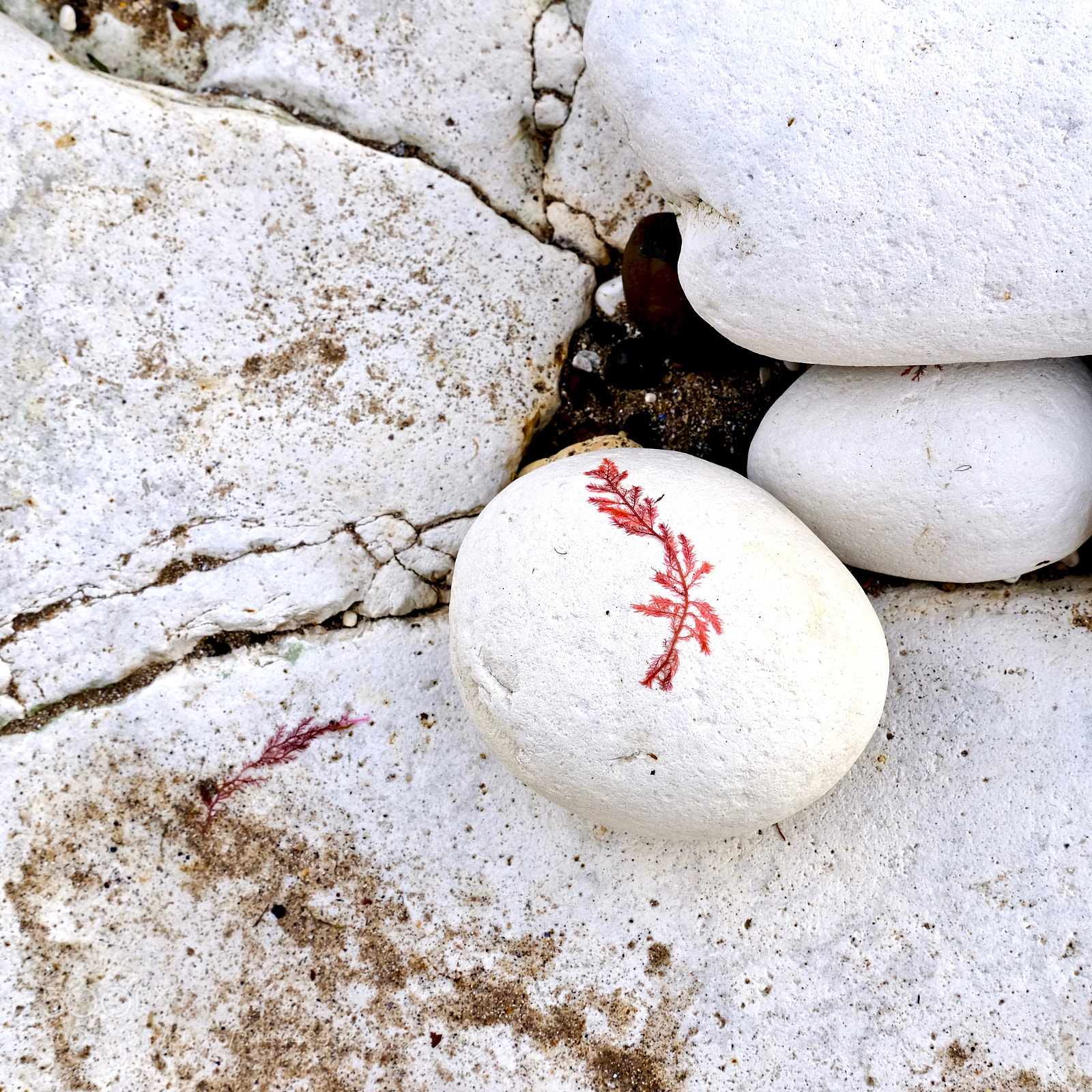 Fujifilm X-Pro2 sample photo. Left by the tide. photography