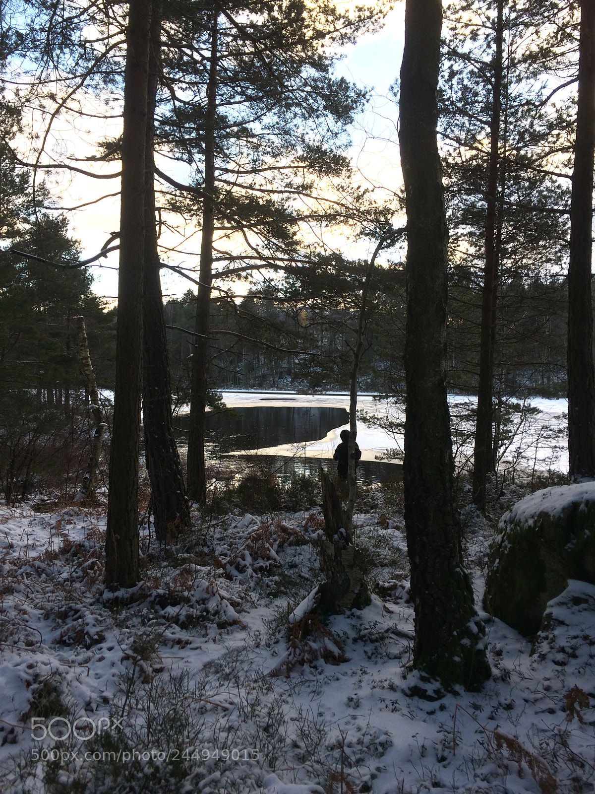 Apple iPhone 5s sample photo. Winter landscape photography