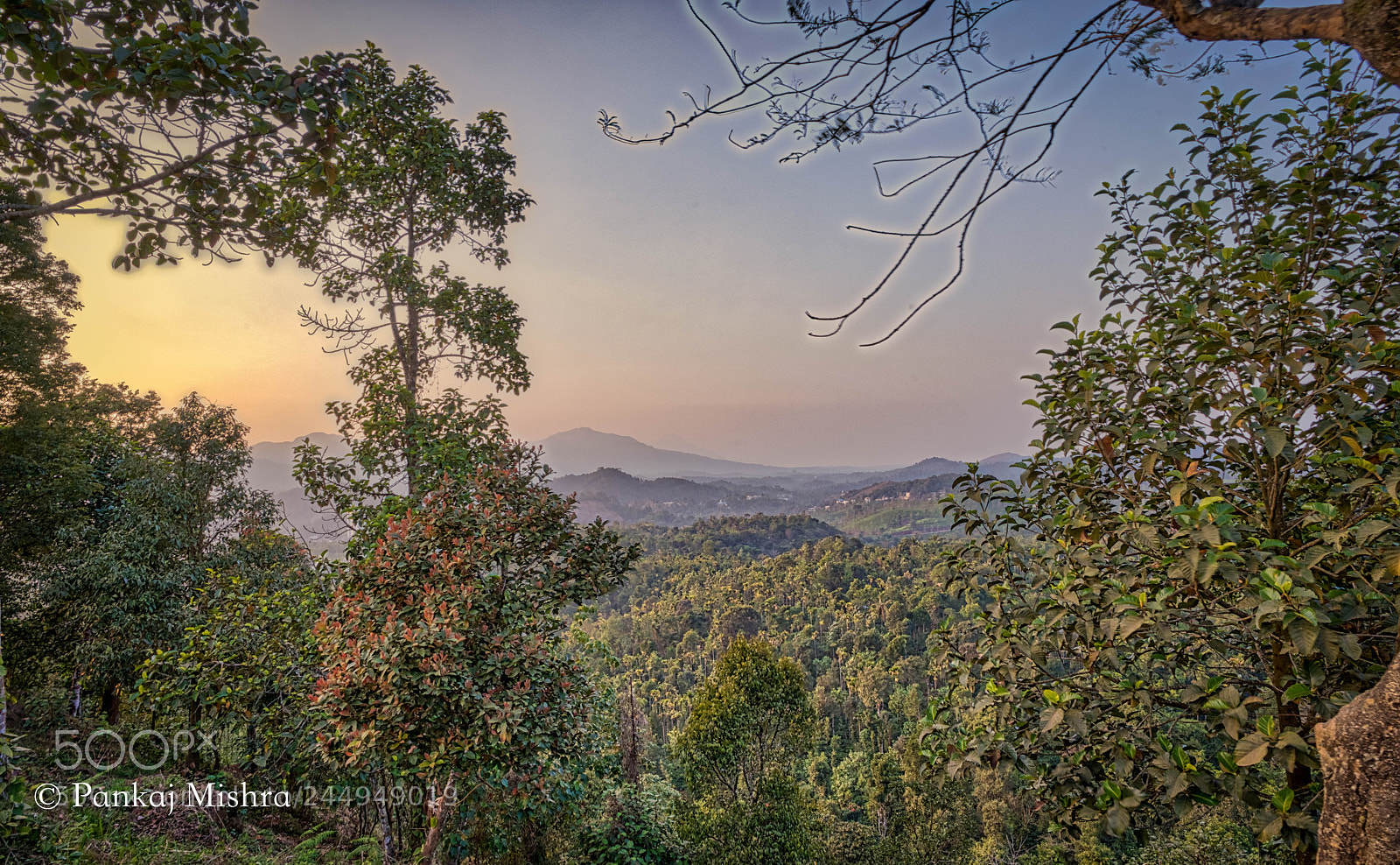 Sony a7 II sample photo. Sunset delight photography