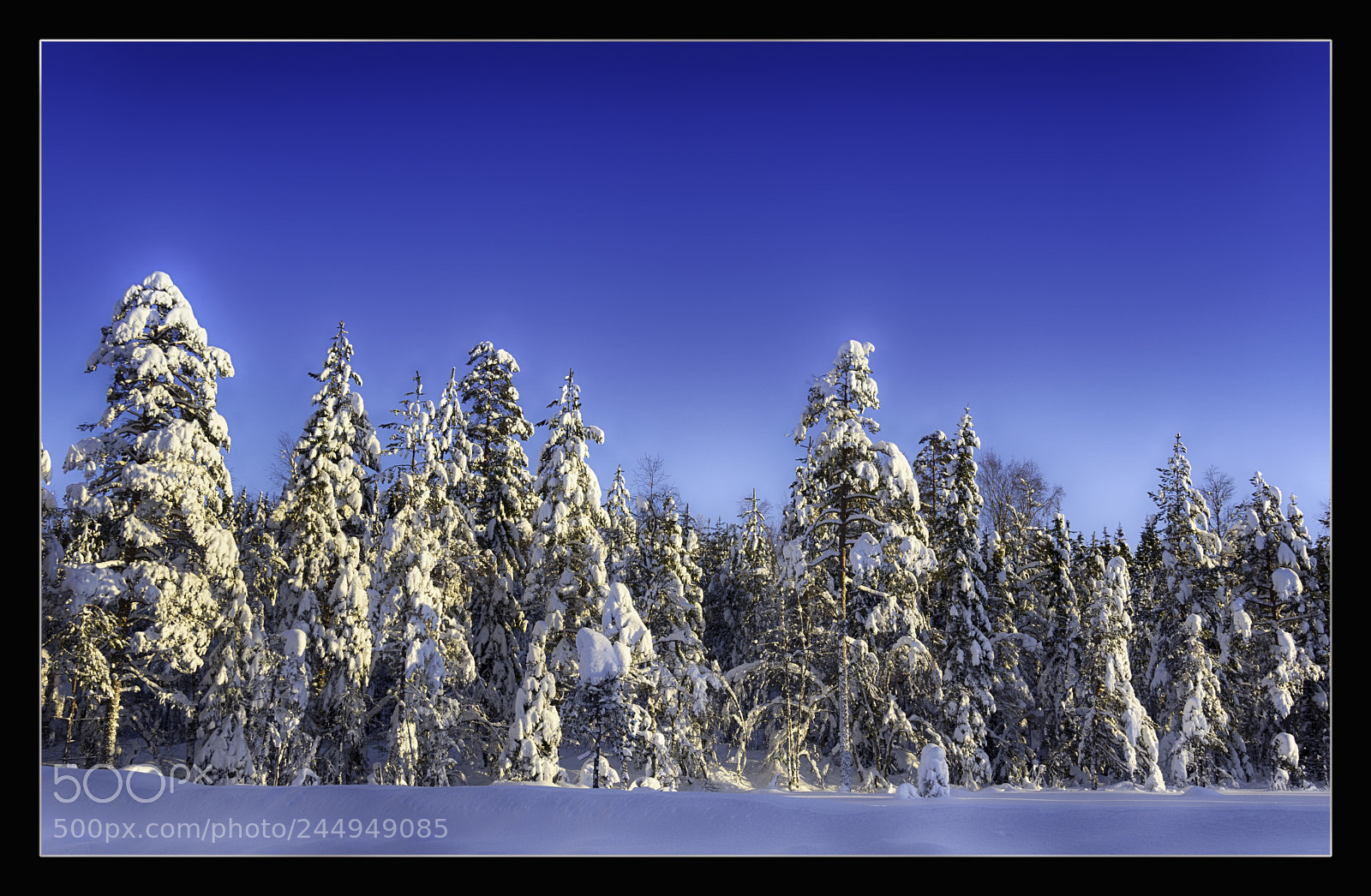 Nikon D7200 sample photo. Winter.jpg photography