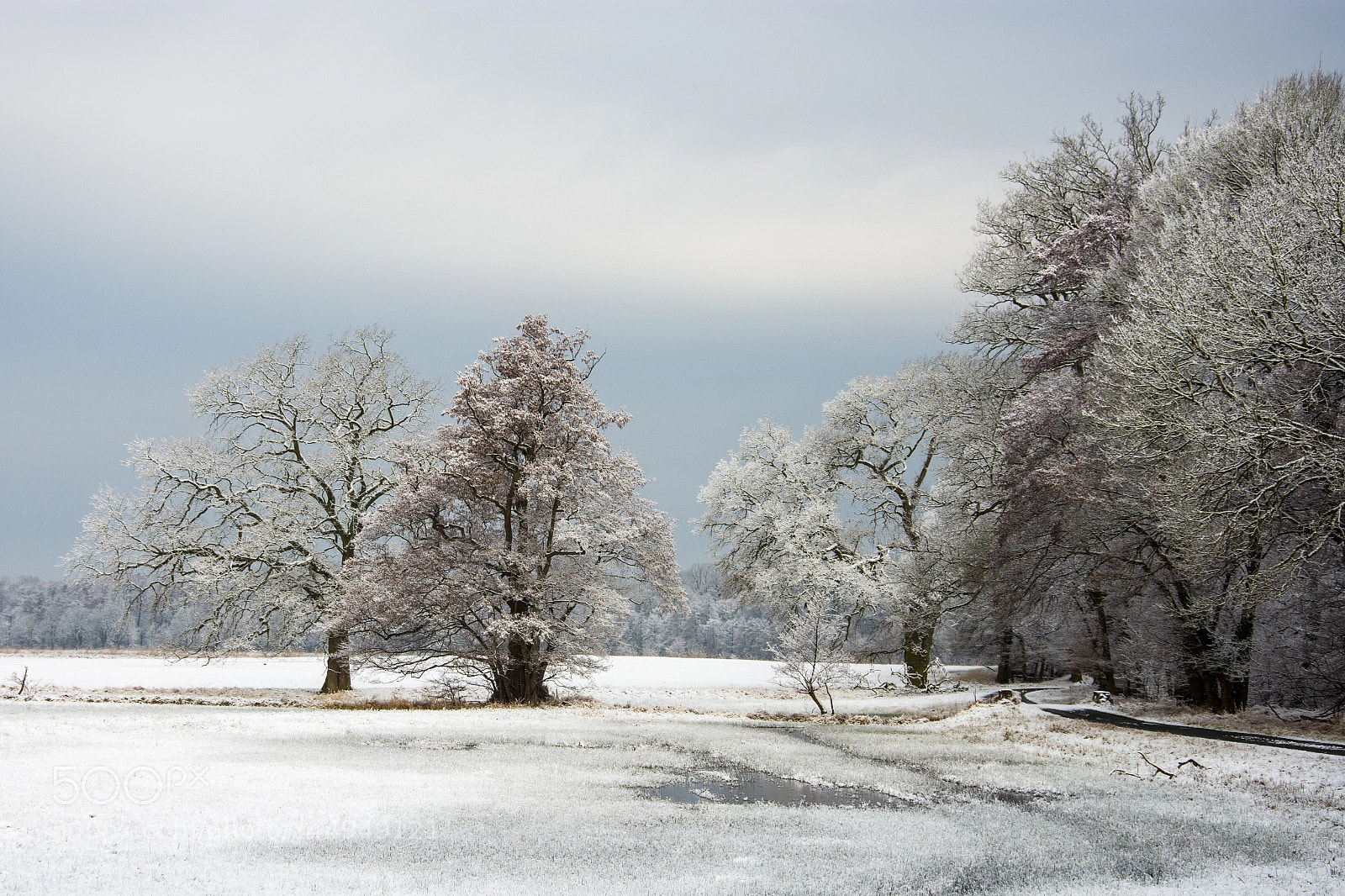 Nikon D7200 sample photo. Winter at the nature photography