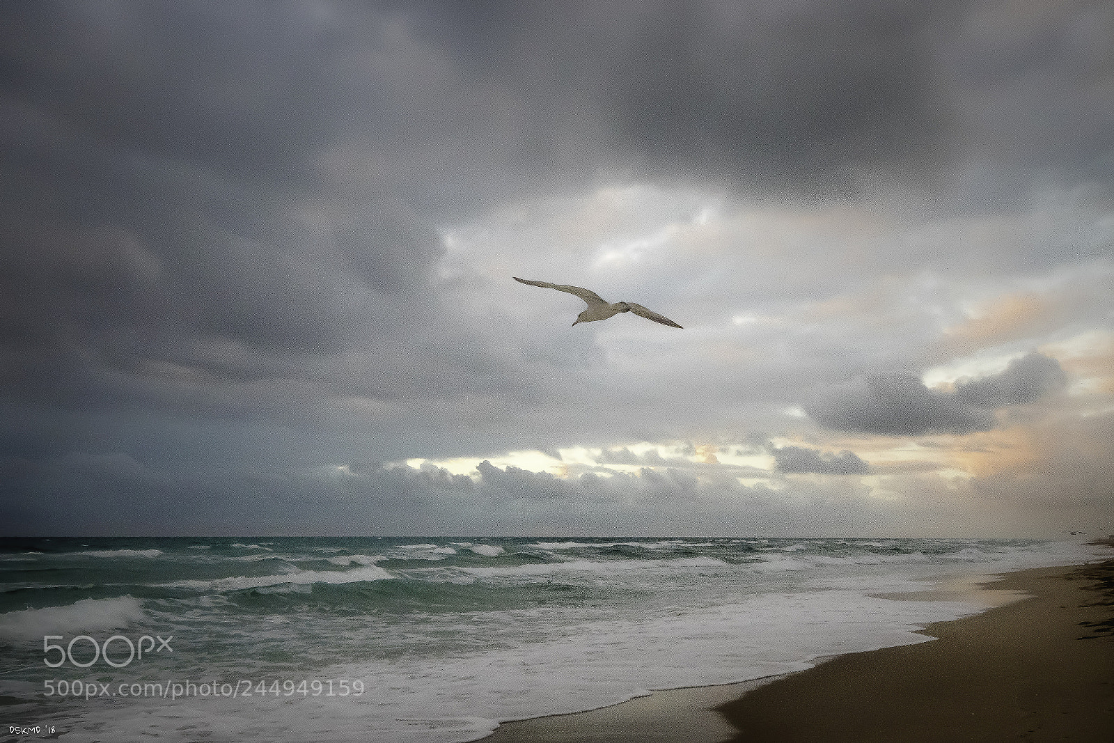 Nikon D5500 sample photo. Dawn photography