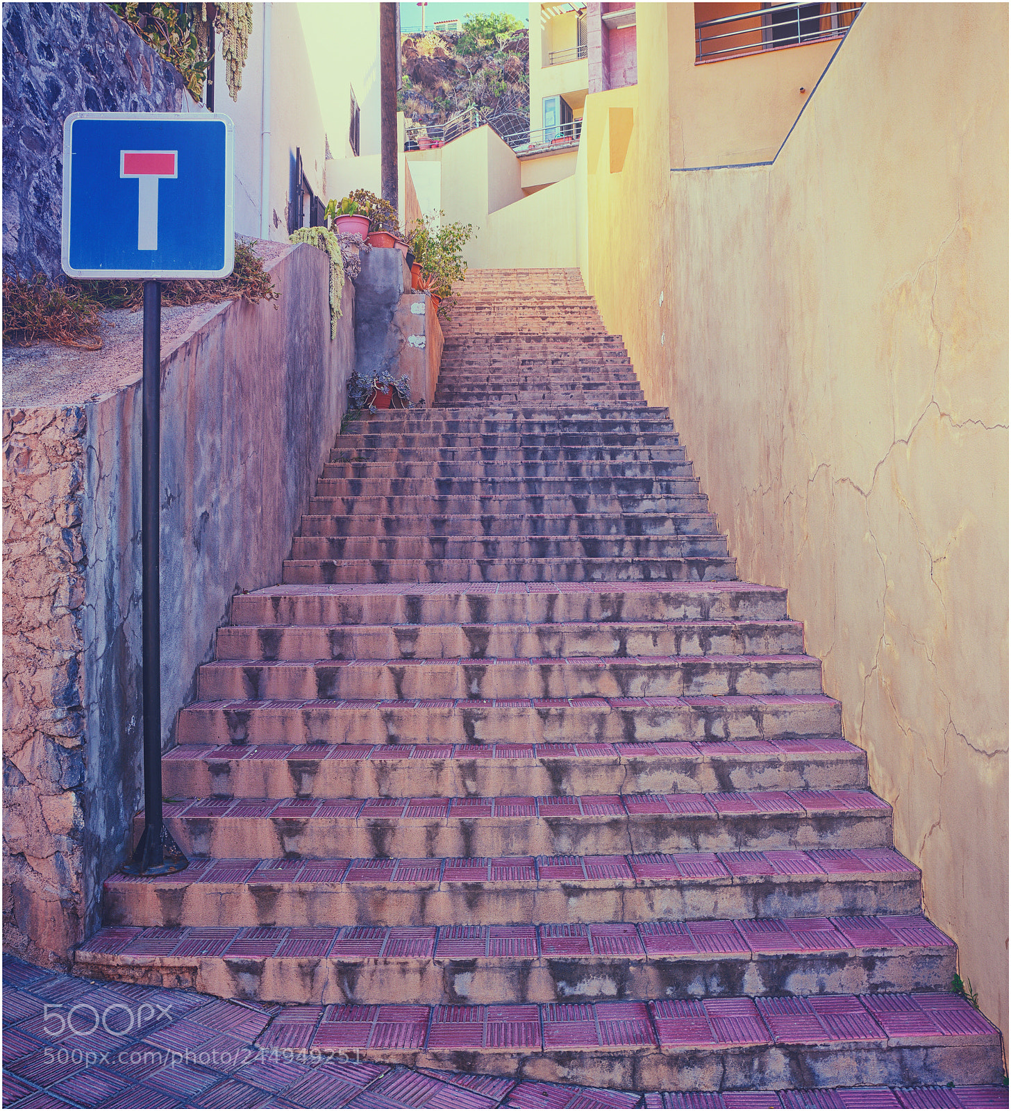 Nikon D810 sample photo. Take the first step... photography