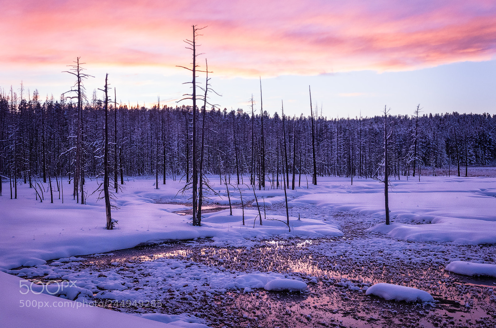 Nikon D810 sample photo. Purple sunset photography