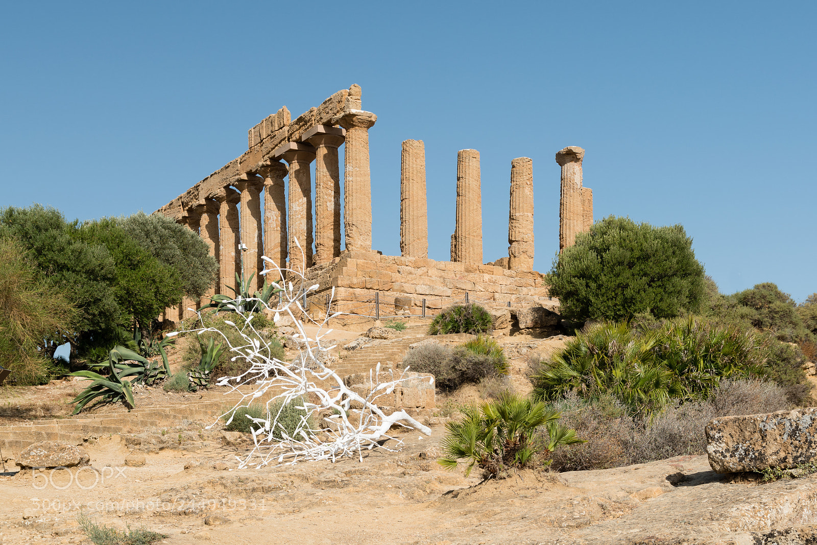 Nikon D5500 sample photo. Temple of juno (1) photography