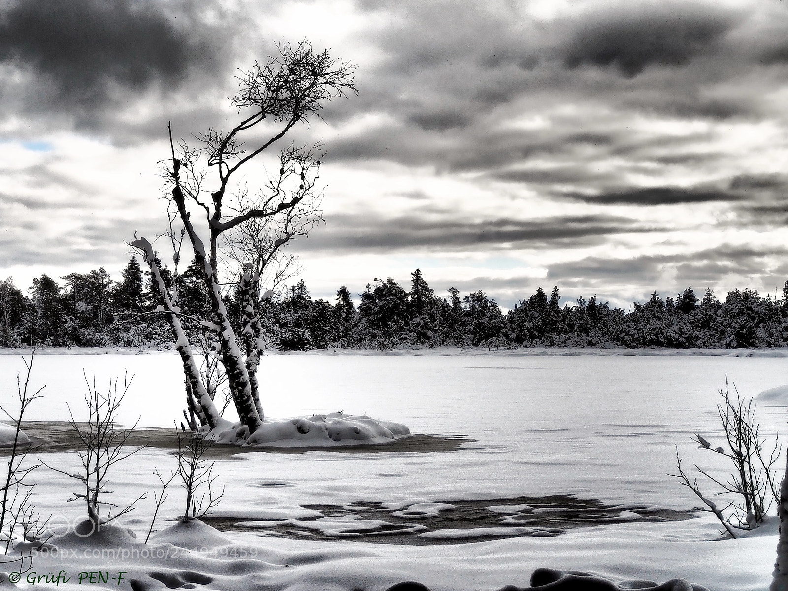Olympus PEN-F sample photo. Wildmoorsee 2 photography