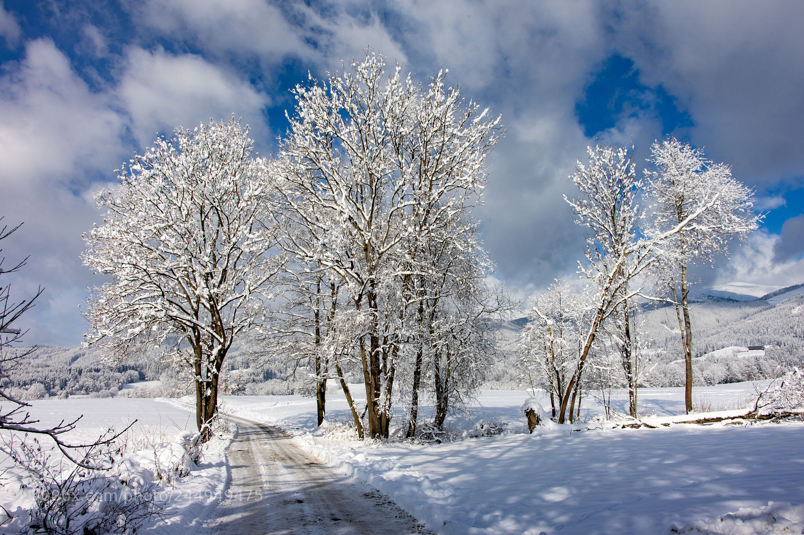 Sony a7 II sample photo. Februar photography
