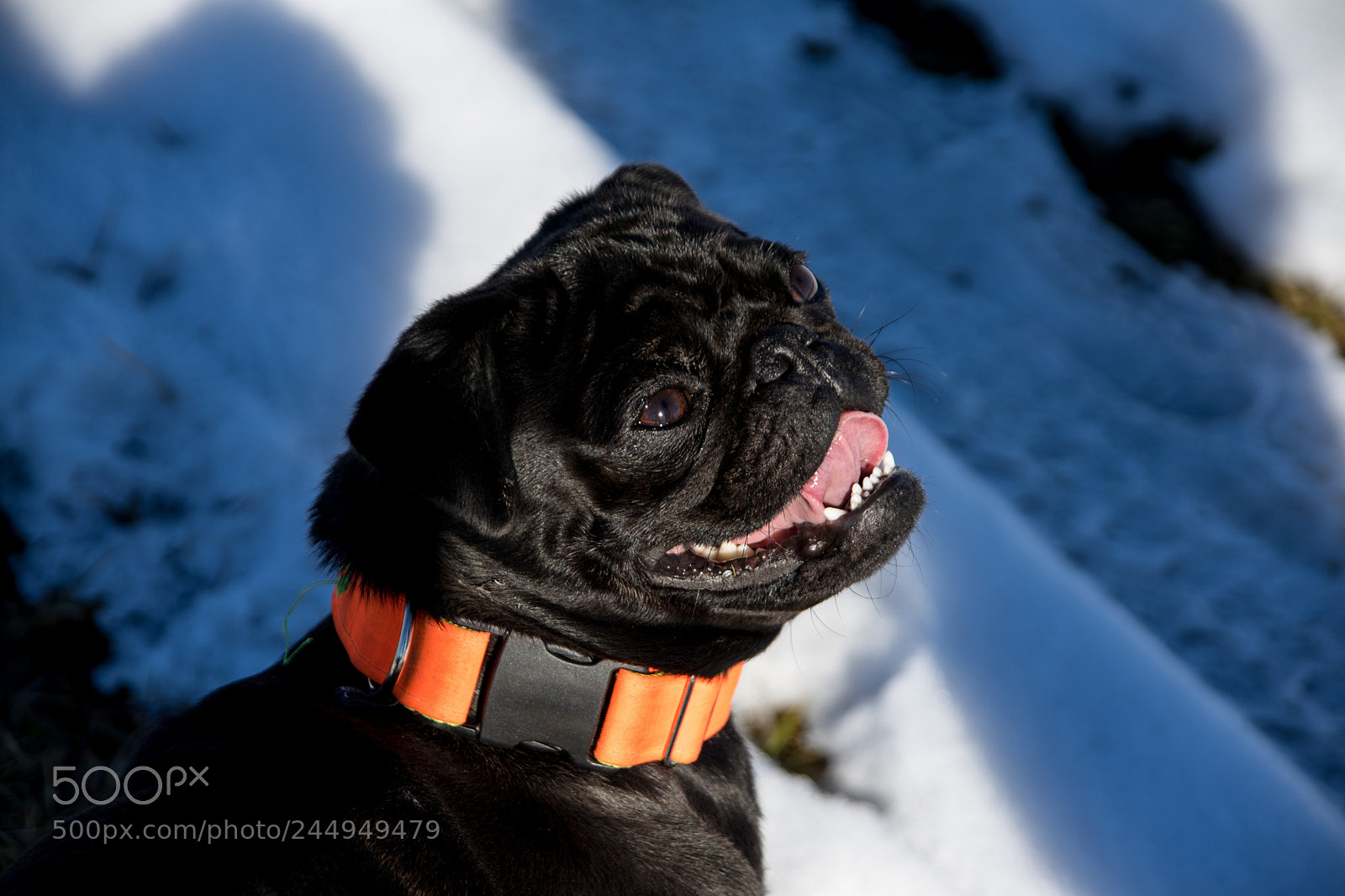 Sony a7 II sample photo. Februar photography