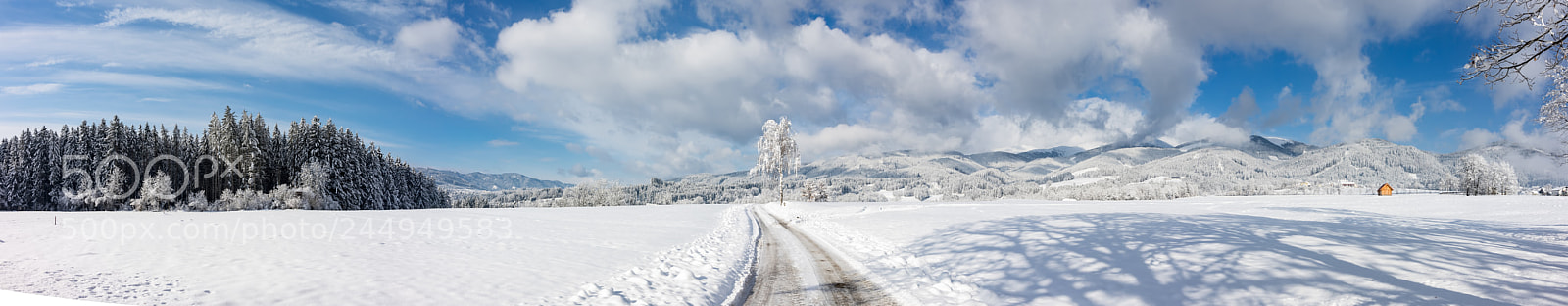 Sony a7 II sample photo. Februar photography