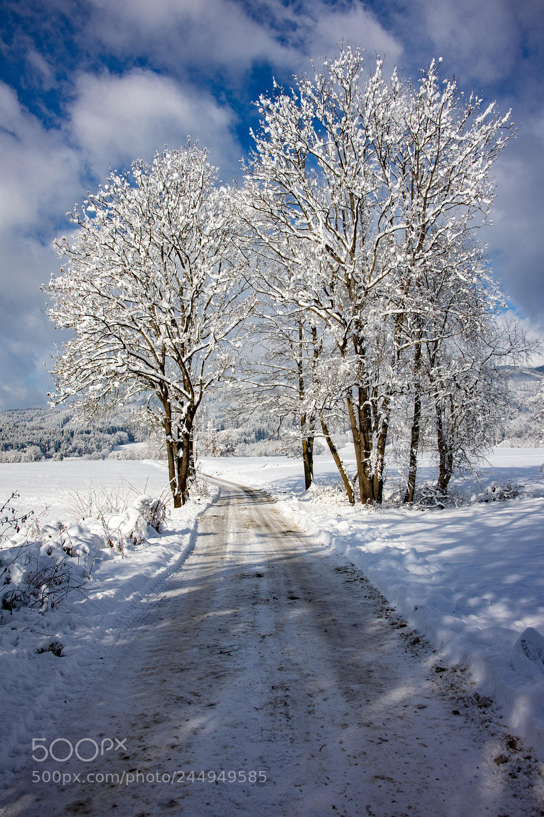 Sony a7 II sample photo. Februar photography