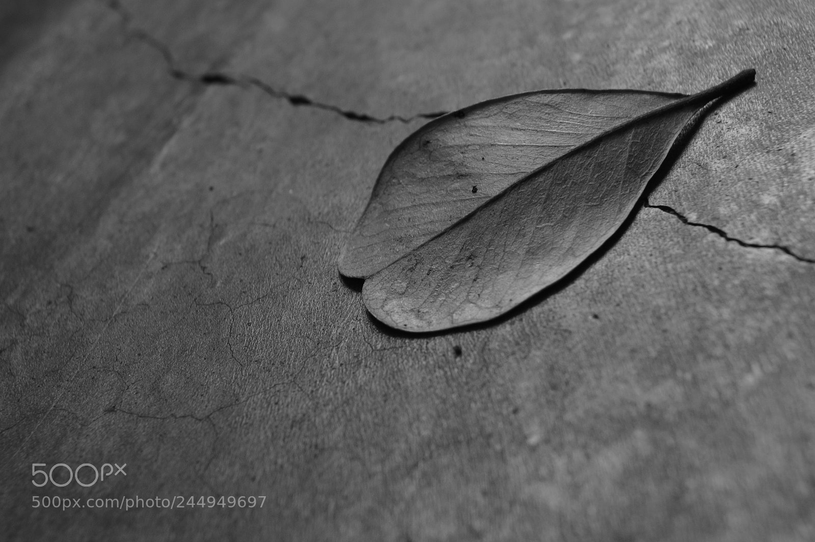 Sony SLT-A58 sample photo. Untitled photography