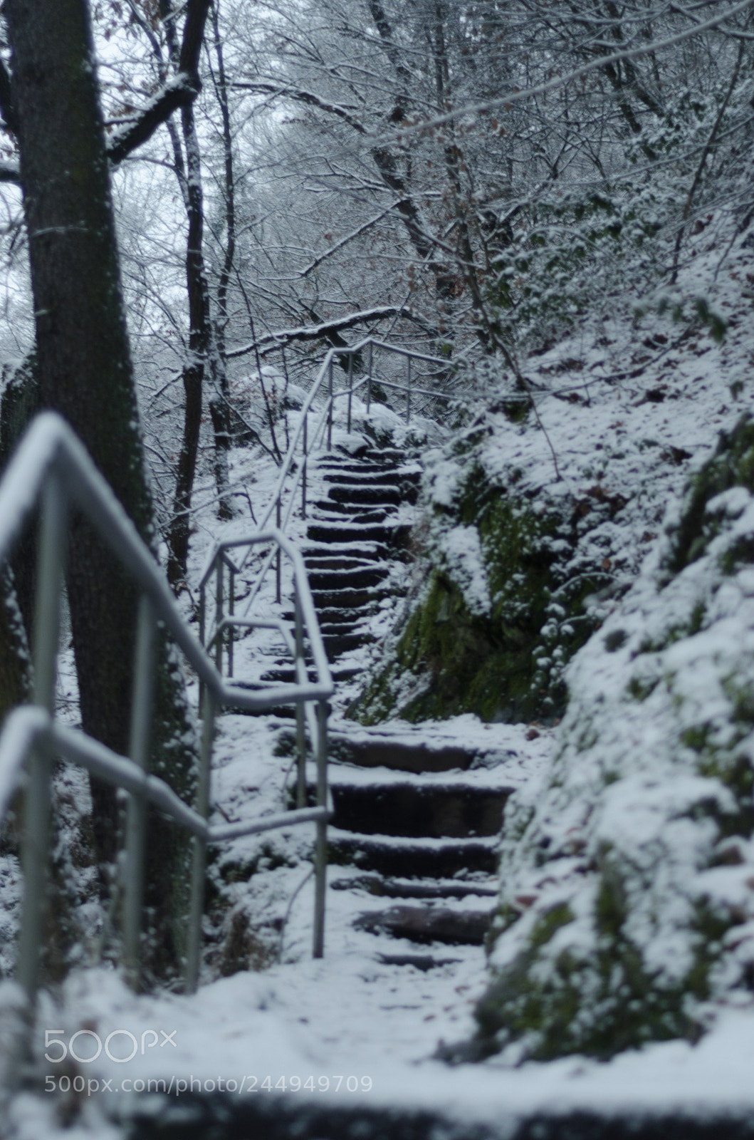 Nikon D5100 sample photo. Stairs photography