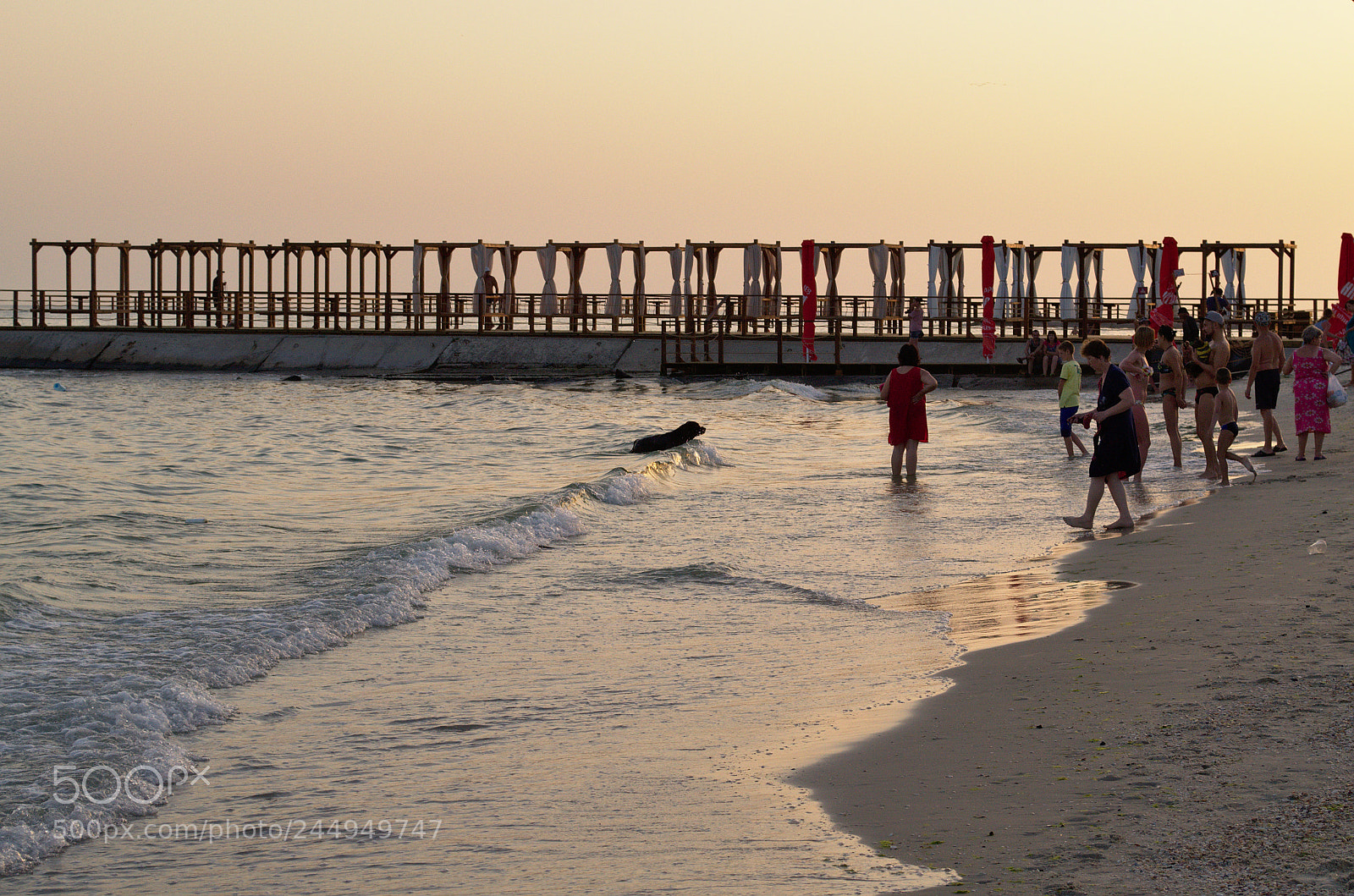 Nikon D3100 sample photo. Beach photography