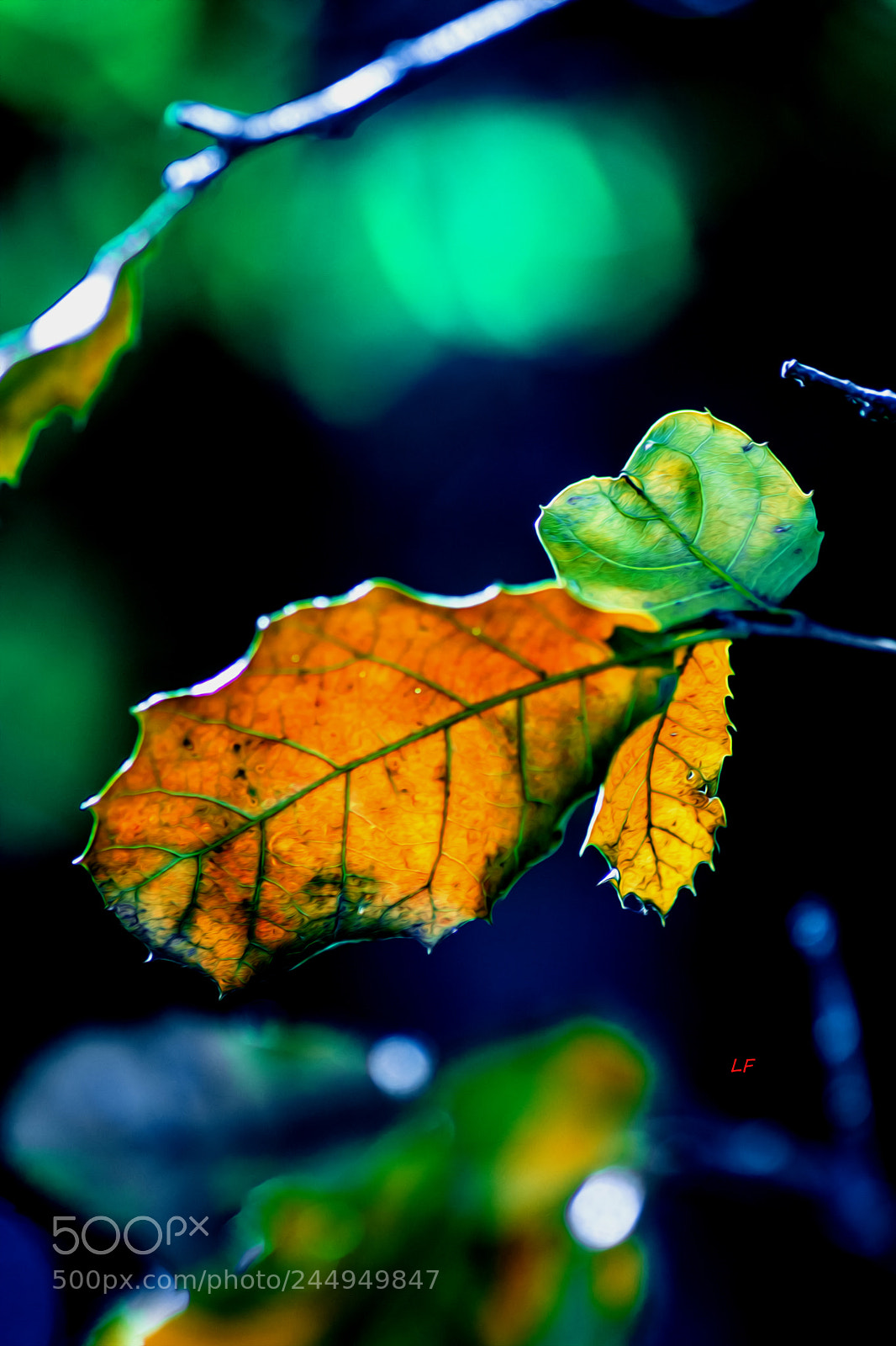 Nikon D7100 sample photo. Colors photography