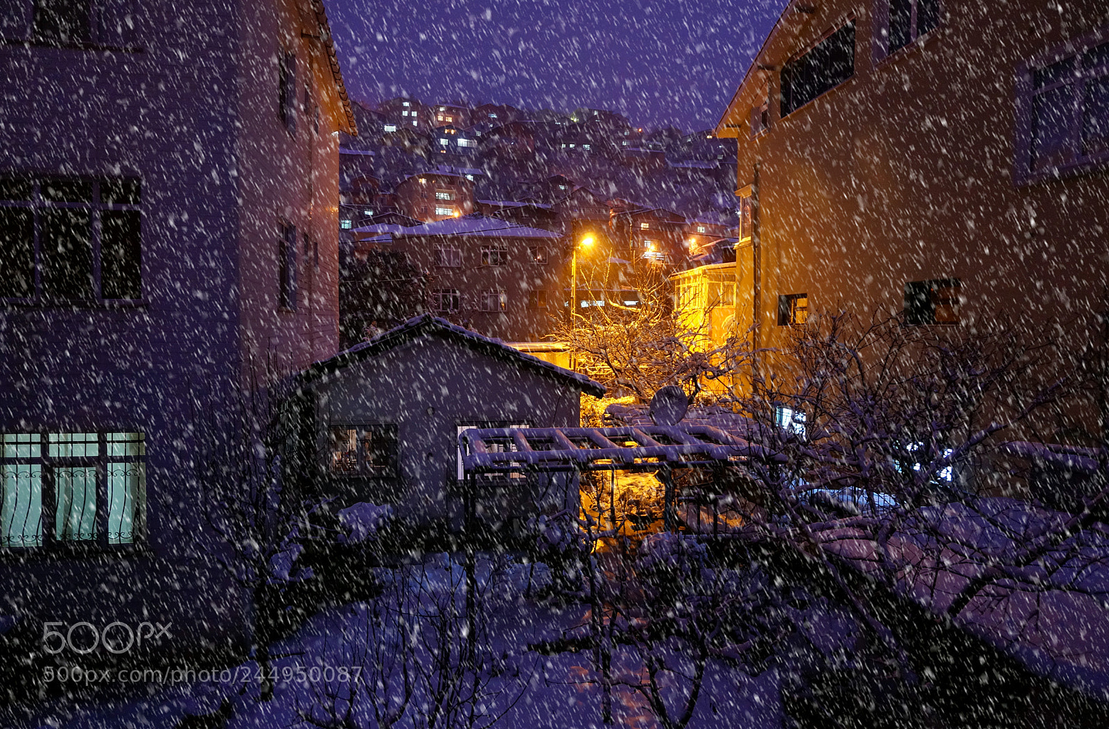 Sony Alpha NEX-3N sample photo. Backyard snow photography