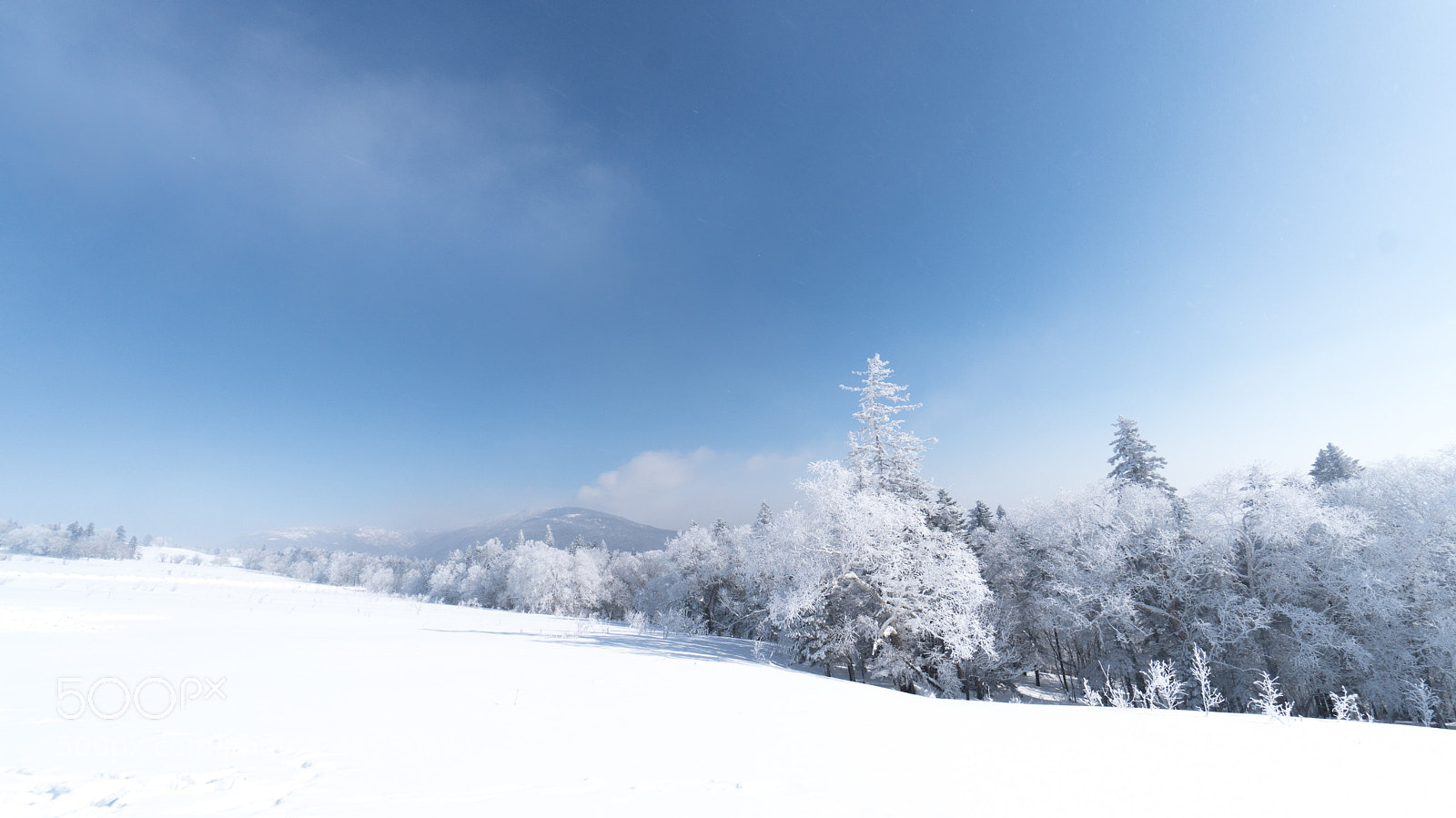 Sony a6300 sample photo. Snow town photography