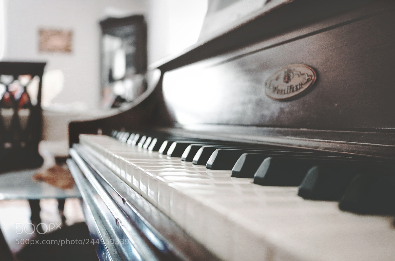 Canon EOS 750D (EOS Rebel T6i / EOS Kiss X8i) sample photo. Piano photography