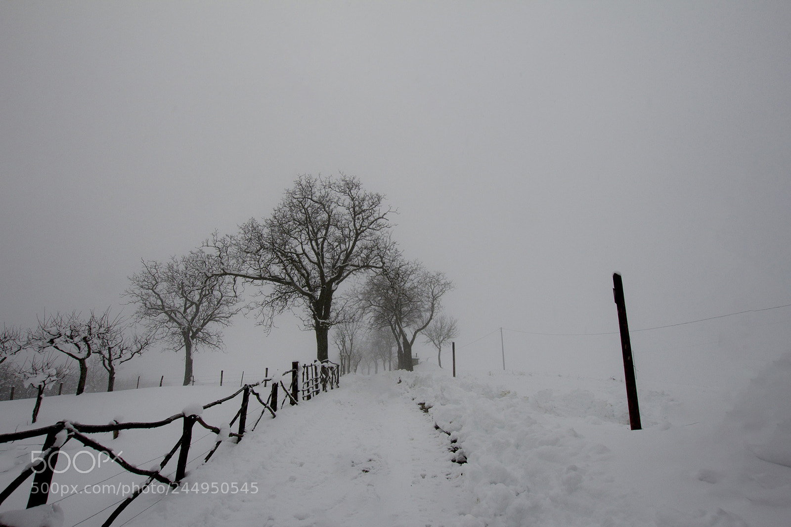 Canon EOS 60D sample photo. Snow at home, baiso photography