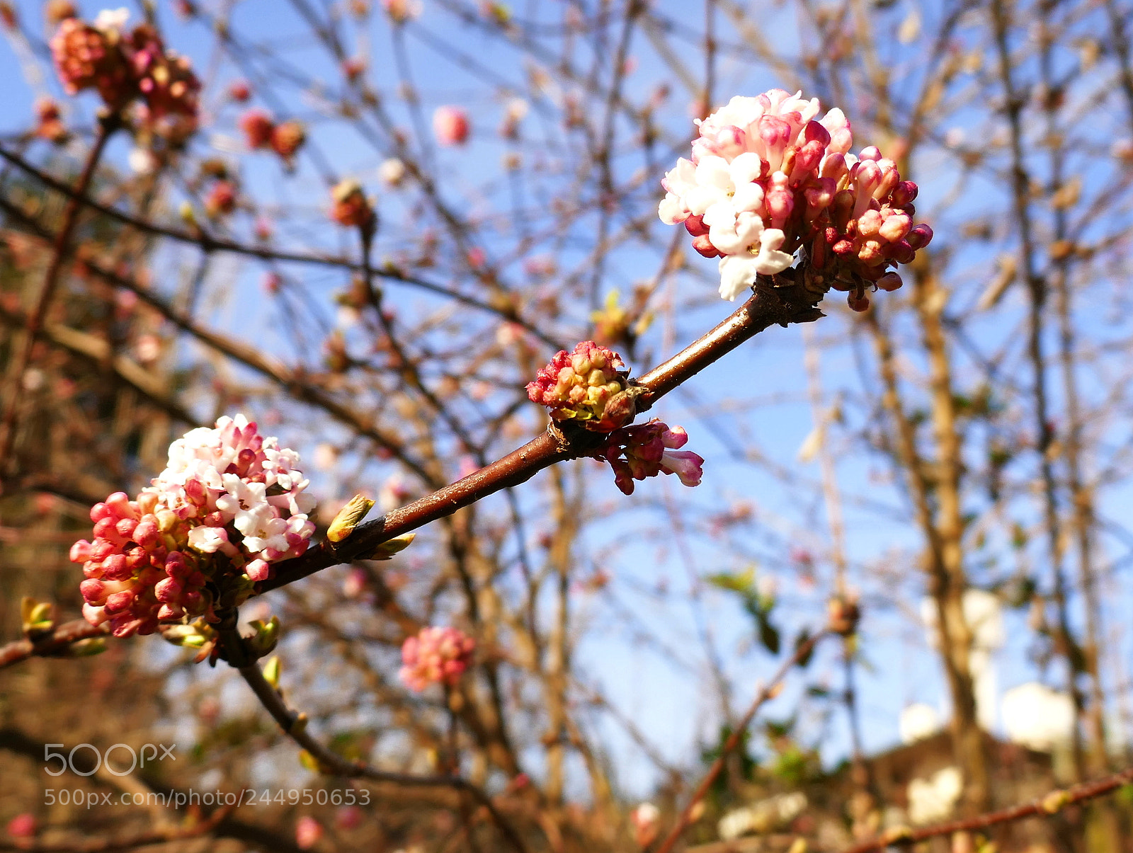 Panasonic Lumix DMC-ZS100 (Lumix DMC-TZ100) sample photo. Una mattina di febbraio photography