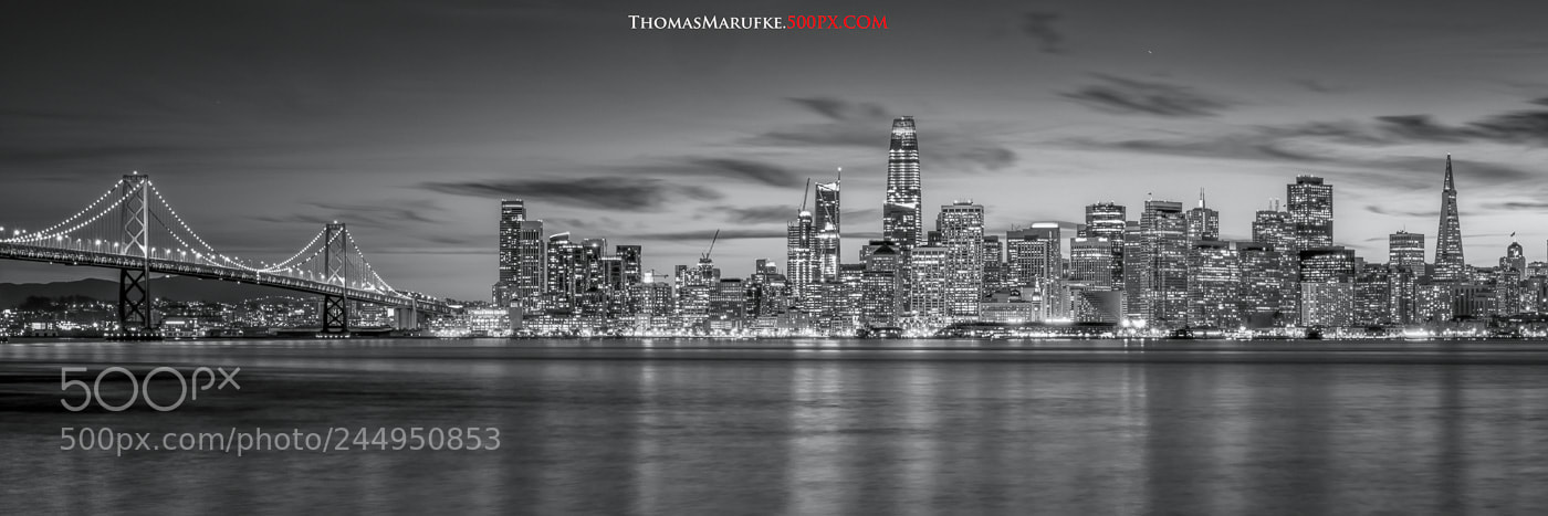 Sony a7R III sample photo. San francisco skyline photography
