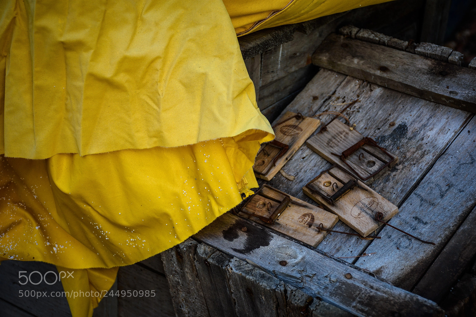 Nikon D7200 sample photo. Tuscany mouse trap photography