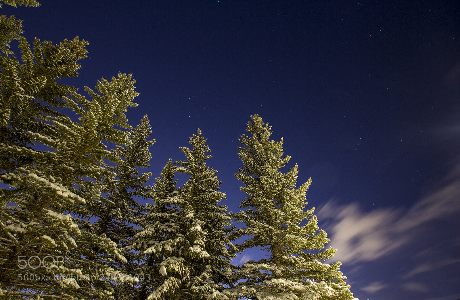 Canon EOS 60D sample photo. Starry sky with snow photography