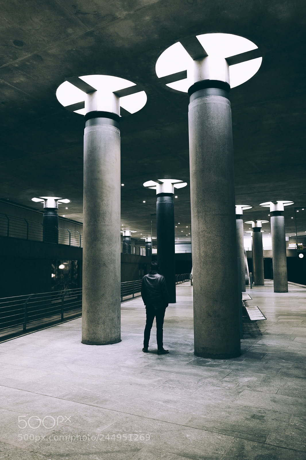 Leica Q (Typ 116) sample photo. Pillars from space photography