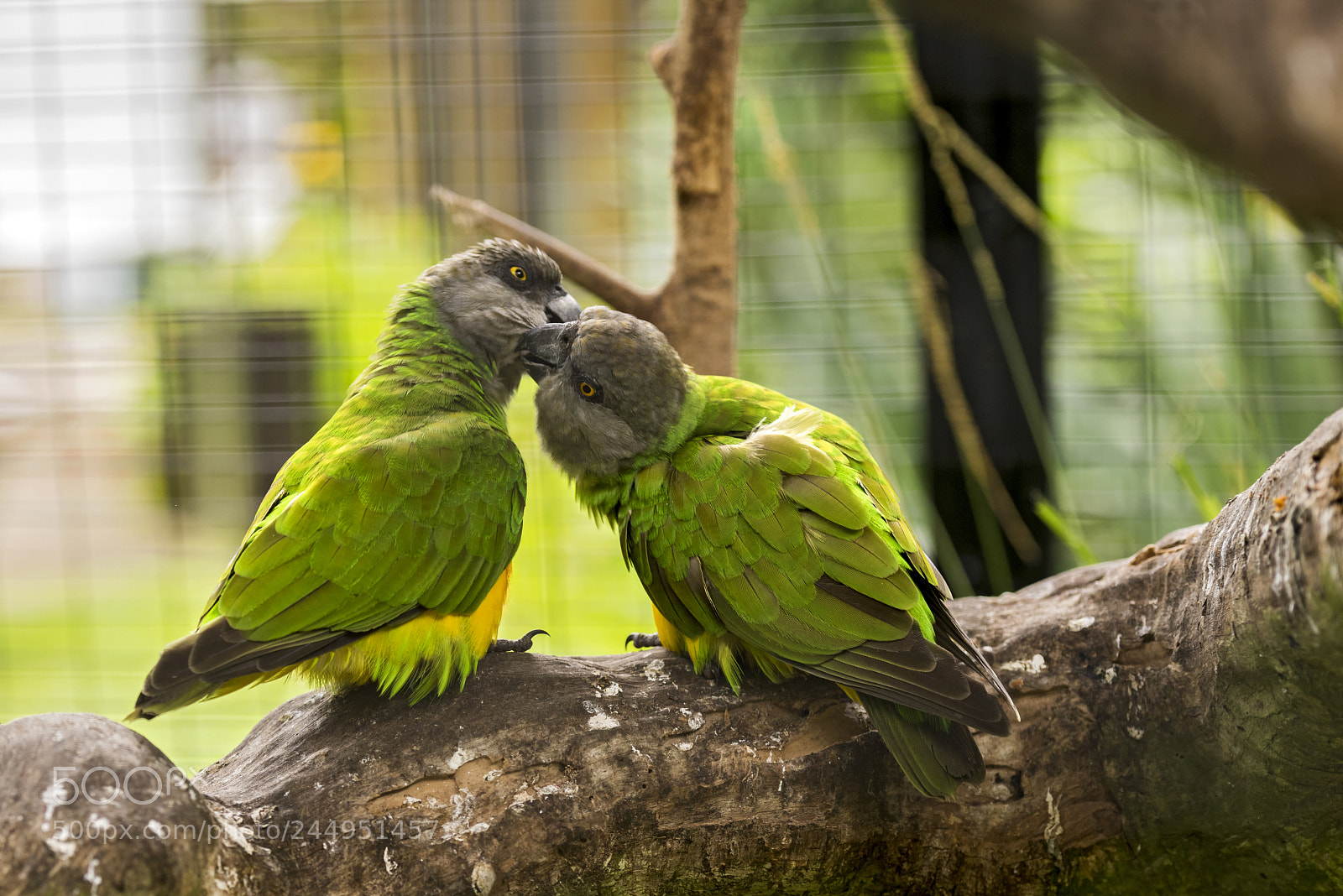 Nikon D810 sample photo. Love can be found photography