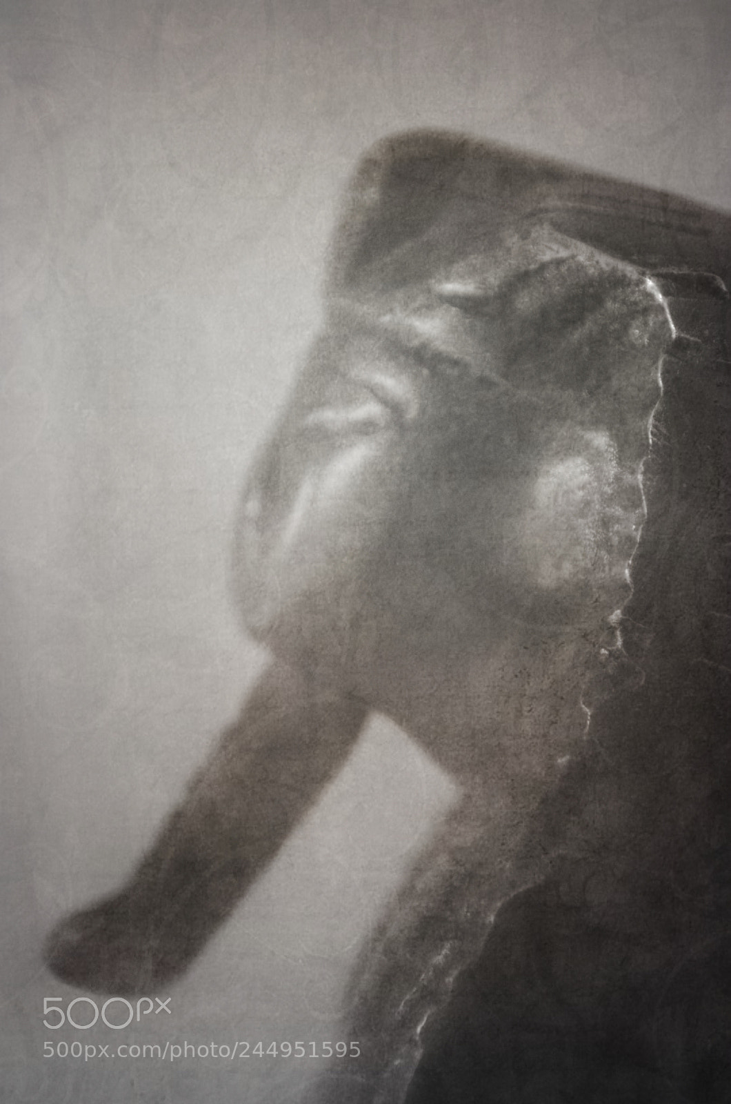 Nikon D5100 sample photo. Tutankhamun photography