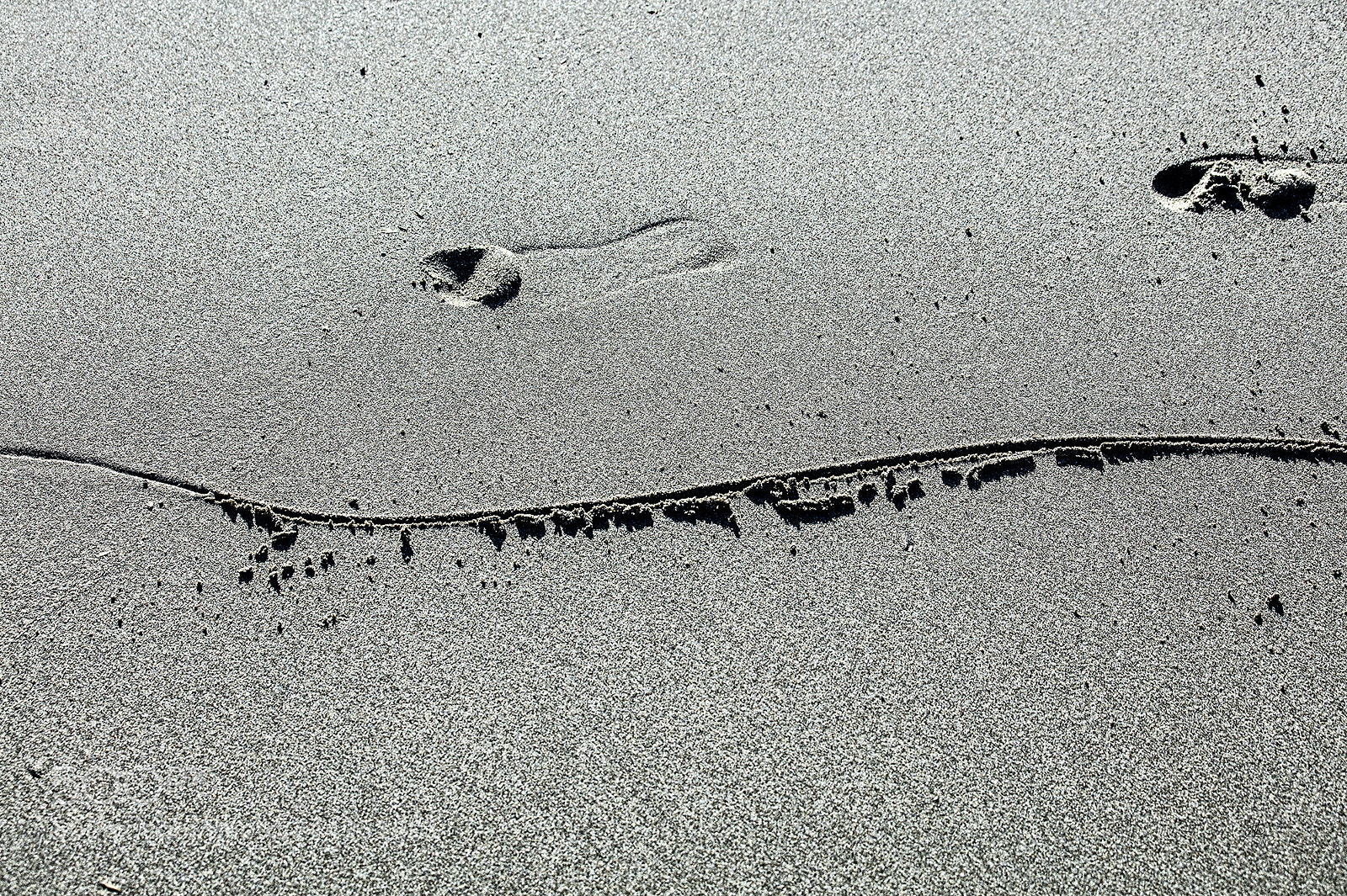 Canon EOS 5DS R sample photo. On the sand photography